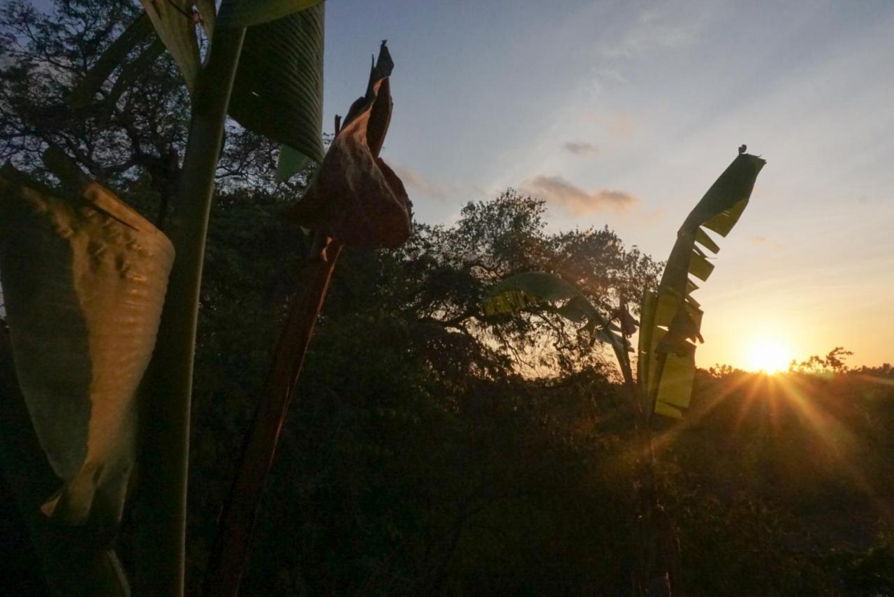 Kibu Kauh Sunrise Cottage Sakti ภายนอก รูปภาพ